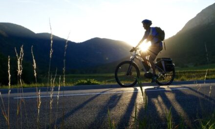 Cheetah Electric Bike: A Comprehensive Guide with Pros, Cons, and FAQs