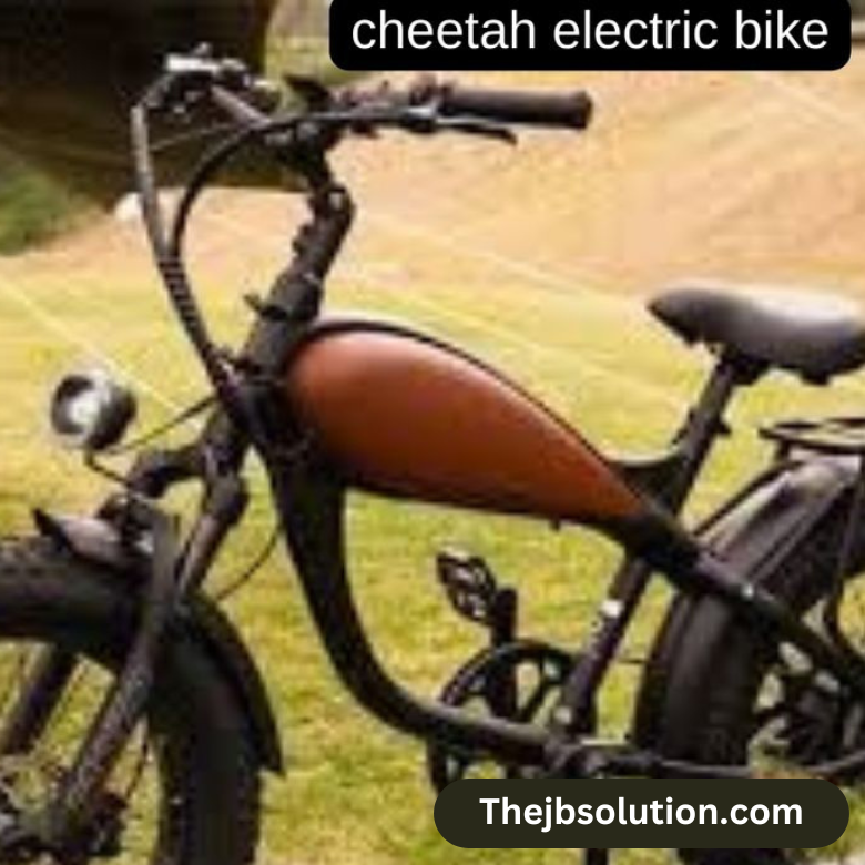 Cheetah Electric Bike
