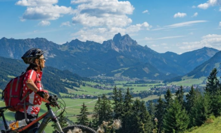 Your Ultimate Ride: The Pexmor Electric Bike Guide