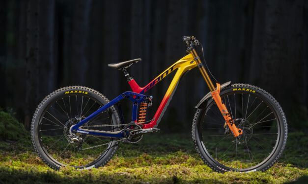 Giant Bikes: review and suggestions