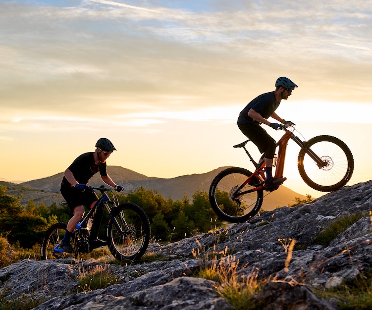 Giant Bikes