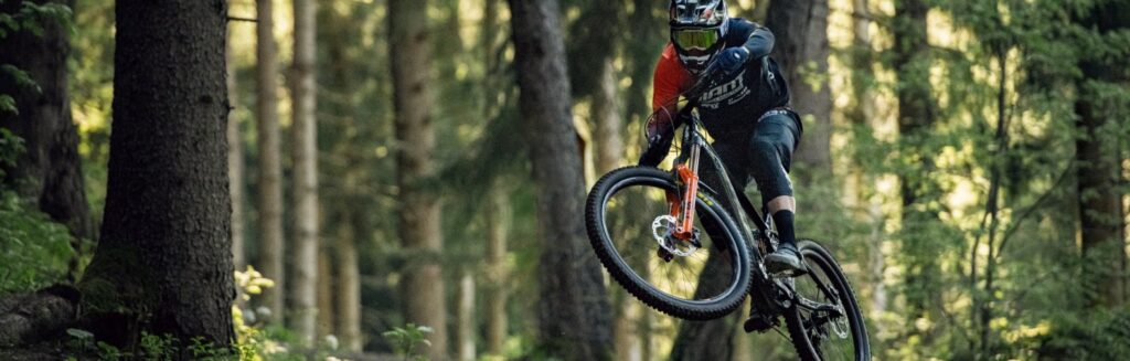 Giant Bikes